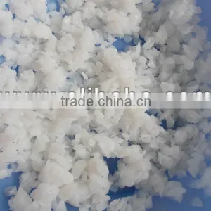 Raw Nata de Coco thumbnail-1