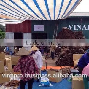 VIETNAM BROKEN CASSIA FOR INDIA MARKET NEW CROP thumbnail-4