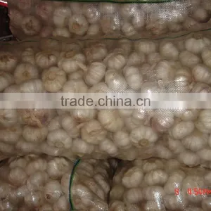 YUYUAN Brand Hot Sail Fresh Garlic Commercial Garlic Peeler thumbnail-1