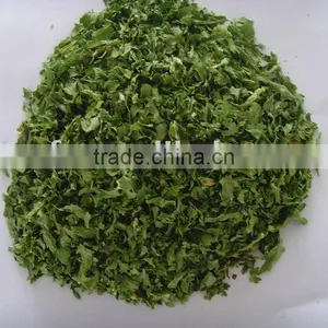 Dehydrated AD Celery Leave and Stock thumbnail-1