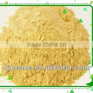 Ginger Root Extract Powder thumbnail-1