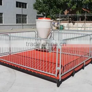 Poultry Feed Processing Equipment Stainless Steel Pigs Stall Nursery Crates thumbnail-1