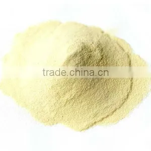 Angel Yeast Cell, Excellent Source of Natural Nutrients thumbnail-1
