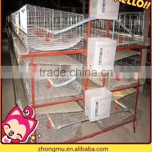 Fully Automatic Chicken Cage Equipment for Poultry Farming thumbnail-1