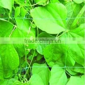 Melon Support Netting Fruit Support Netting thumbnail-1