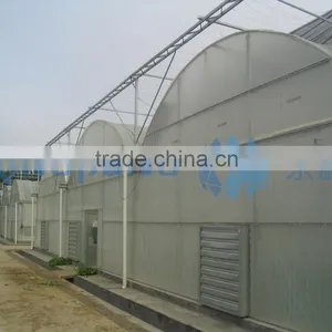 Plastic Film Greenhouse for Vegetable-growing thumbnail-3
