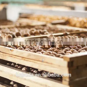 Nut Dehydrator thumbnail-2