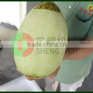 Large-scale Wax Gourd Peeling Machine Pumpkin Peeling Machine Stainess Steel Watermelon Peeling Machine thumbnail-4