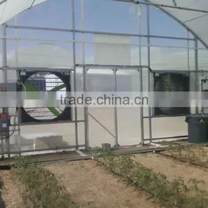 Agricultural Greenhouse Film Greenhouse With Exhaust Fans thumbnail-1