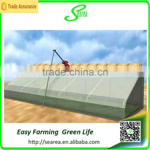 Single Span Greenhouse for Vegetable Fruits Agricultural Greenhouses thumbnail-6