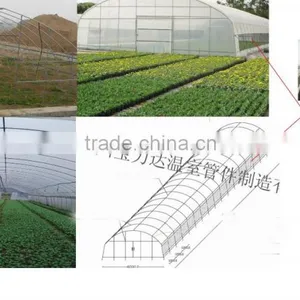 China Supplier Tunnel Greenhouse thumbnail-6