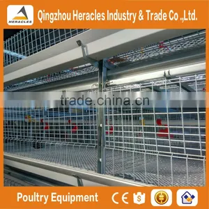 Shandong Trade Assurance Poultry Farming Equipment Automatic Chicken Layer Cage for Sale in Philippines thumbnail-6