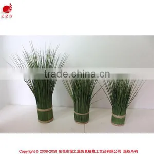 Hotsales Natural Cylinder Onion Grass for Garden Decoraction thumbnail-1