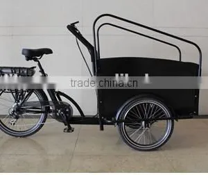 Electric Tricycle Bikes thumbnail-1