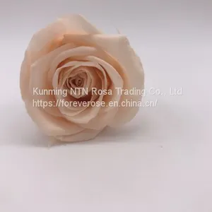 Preserved Flowers Wedding Bridal Bouquets Natural Eternal Roses thumbnail-1