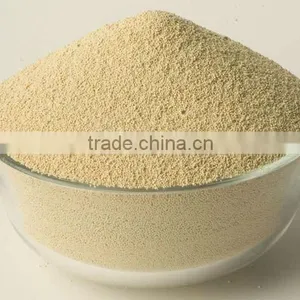 Soybean Meal thumbnail-1