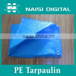 100mic China PE Tarpaulin Roll Factory thumbnail-6