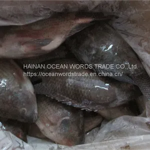 Tilapia 300-500/500-800/800+ thumbnail-2
