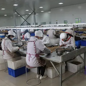 Hebei Suguo International Trade Co., Ltd. company overview - view 2 thumbnail