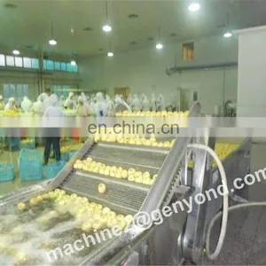 Design Drying Production Line for Fruit of Factory Price thumbnail-3