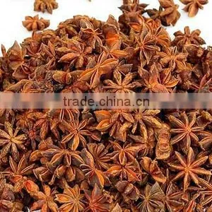 Autumn Star Anise thumbnail-1