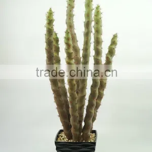 Wholesale Artificial Cactus And Succulent Artificial Bonsai Succulent Plants thumbnail-6