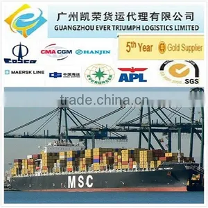 40 Foot Container Price From China to Malaysia (DDU Shipping) thumbnail-1