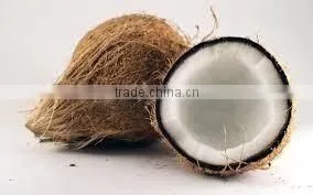 Tasty Fresh Matured Coconut Price thumbnail-1