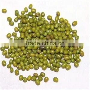 Food Grade Green Mung Beans(Heilongjiang) thumbnail-2