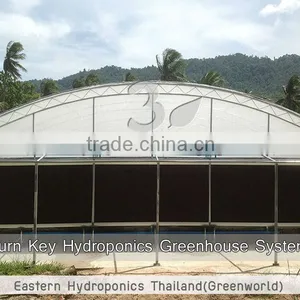 Greenhouse thumbnail-3