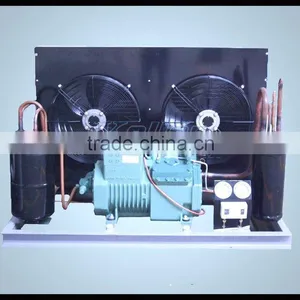 Low Temperature Cold Room For Fish/Meat Storage (-20 Degree) thumbnail-4
