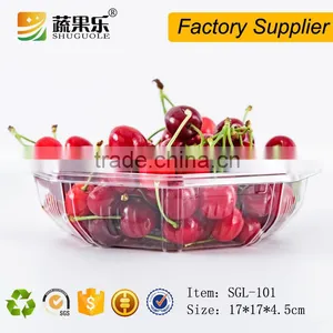 Promotional Transparent Plastic Pet Tray thumbnail-3