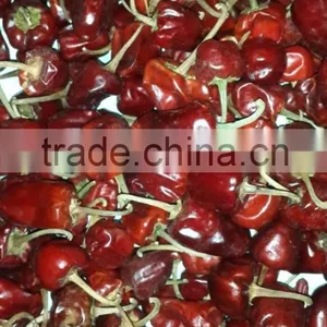 Round Red Chilli thumbnail-4