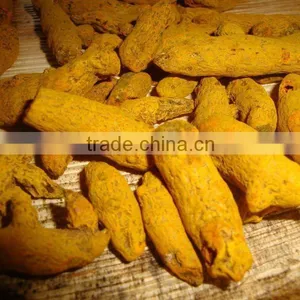 Indian Raw Dried Turmeric Finger Available thumbnail-4