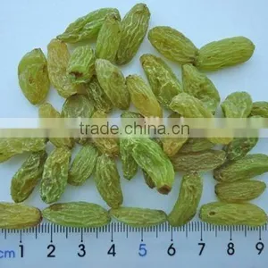 2017 Sultana Raturkish Sultanas Raisins thumbnail-3