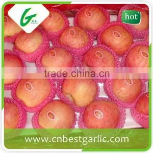 Big Honey Fresh Red Fuji Apples thumbnail-1