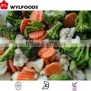 Good Price Frozen Baby Oyster Mushroom 2016 With Grade A thumbnail-4