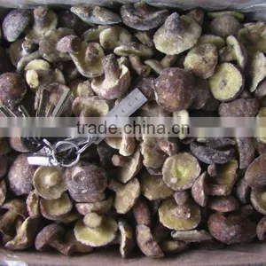 IQF SUILLUS thumbnail-1