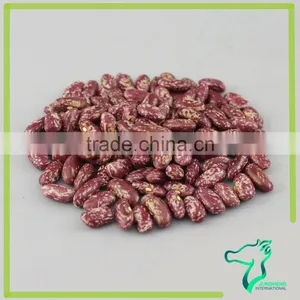 Red Speckled Kidney Beans thumbnail-6