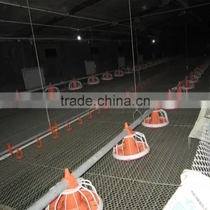 Industrial Chicken Shed/broiler Farm/poultry House Construction Design thumbnail-3