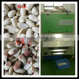 Belt Type Peanut Color Sorter for Sale 0086 371 65866393 thumbnail-1