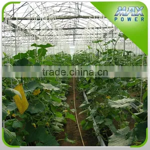 Mini Film Vegetalbe Greenhouse From Maxpower thumbnail-1