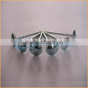 Top Quality Best Quality and Cheaper Big Head Roofing Nails Trusted Chuanghe Suppliers From Com thumbnail-2