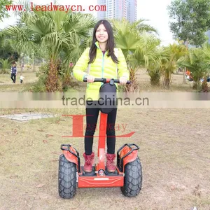 Leadway Off-road 48v Electric Motorcycle 20km/h(RM09D+ 05) thumbnail-2