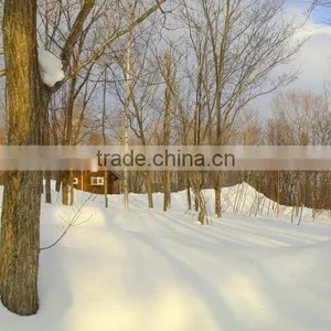 Real Estate for Sale in Japan , Forest Land thumbnail-1