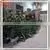 2015 Wholesale Outdoor Led Tree Artificial Led Palm Tree Light Led Light Tree thumbnail-5