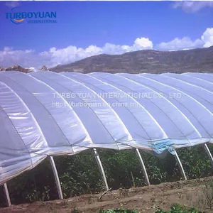 UV Protection Ldpe Plastic Film Tunnel Plastic Greenhouse Film for Agriculture thumbnail-4