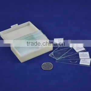 15 Pieces Prepared Slides thumbnail-1