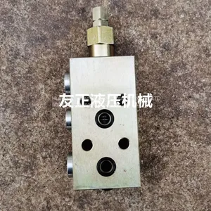 Hydraulic Parts Valve Block Balance Valve Lock Valve H5006N403S0300 Series Made in Ltaiy Youzheng NEM thumbnail-1