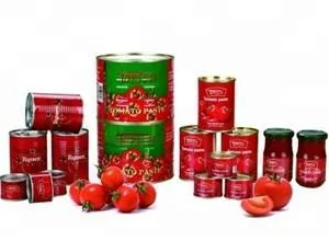 100-200 Kg/h Small Tomato Paste Processing Plant thumbnail-6